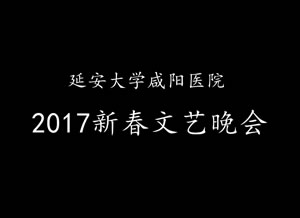 2017新春文藝晚會